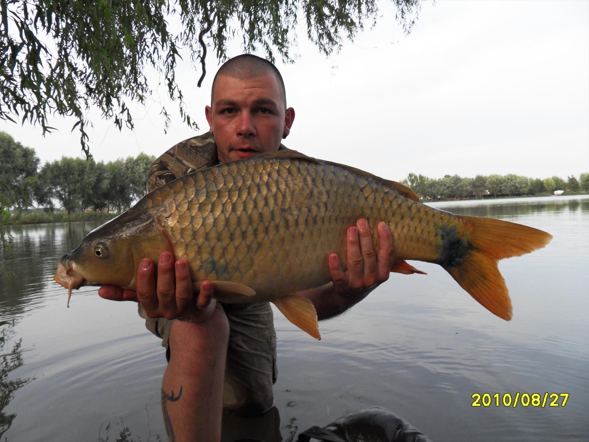 Nagykallo 2010 - nagykallo-103.JPG